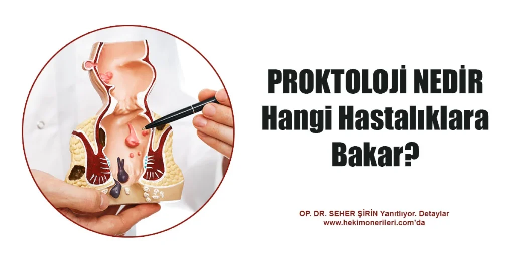 Proktoloji uzmanı nedir, hangi hastalıkların tedavisine bakar