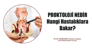 Proktoloji alanı